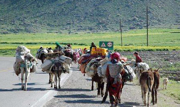 مرمت بیش از یک هزار و 400 کیلومتر جاده عشایری در ایلام