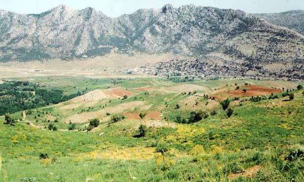 طبیعت زیبای دزلی سروآباد فضایی دل انگیز برای گردشگران است