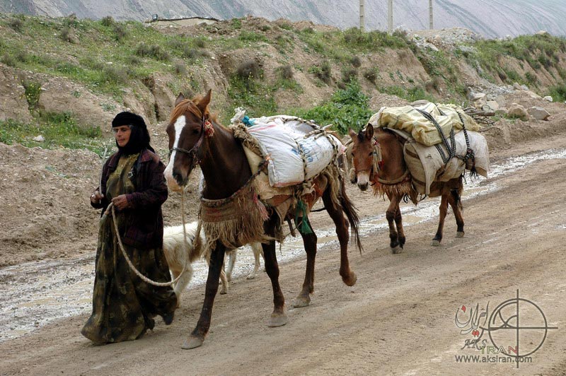 گردشگری عشایری در ایلام توسعه می‌یابد 