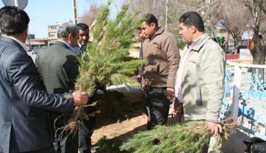 100 هزار نهال رایگان در اصفهان توزیع می شود