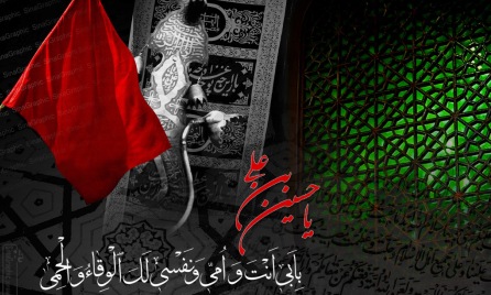 پرواز کبوترهای خونین بال در هوای سوهانک