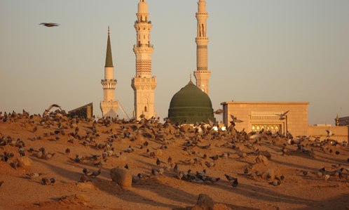 امام رضا (ع) غریب الغرباء است یا....