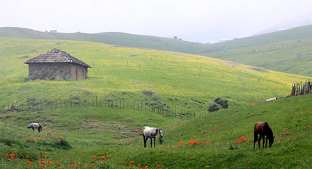 شناسایی 120 اثر تاریخی در شهرستان تالش