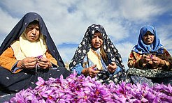 دومین جشنواره زعفران شمالغرب کشور در بناب مرند برگزار می شود