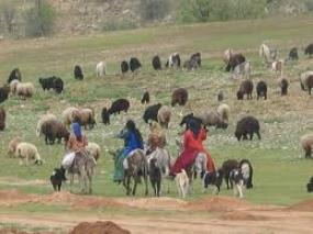 شناسایی 450 دانش آموز عشایری در همدان