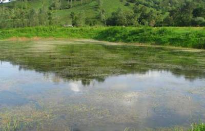 مرتفع شدن مشکل کم آبی 50 روستای کردستان