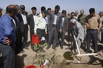 احداث پارک جنگلی جیرفت با کاشت اولین نهال، آغاز شد