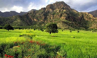 برخورد با رستوران‌هایی که پرندگان وحشی طبخ می‌کنند