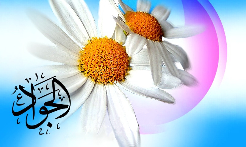 جشن ولادت امام جواد(ع) در مساجد امام رضا(ع)،امام صادق(ع) و امام حسن(ع)