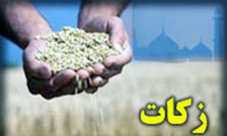 نهادینه کردن فرهنگ زکات از سوی عاملان ضروری است