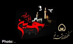 شعر شب ششم محرم/روضه بسیار غمدار حضرت قاسم(ع) 