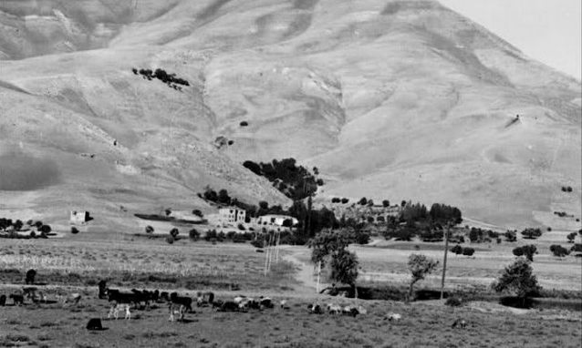 شناسایی محوطه ای وسیع از دوره پارینه سنگی میانی در کردستان