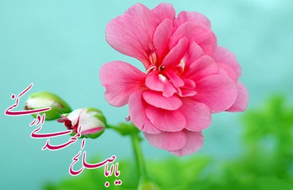 دعاگوی فرج امام عصر(ع)، دوستدار امیرالمومنین علی(ع)