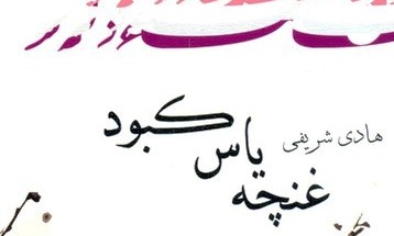 «غنچه یاس کبود»؛ رمانی برای بازخوانی شباهت مکر اموی و اوبامایی