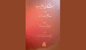 تازه ترین ترجمه «شکوی الغریب» عین القضات بررسی می شود