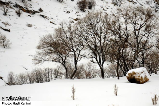 کولاک، جان سرباز اراکی را در سقز گرفت