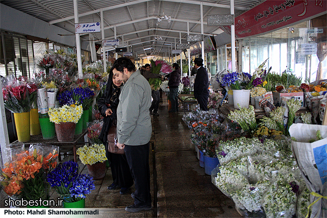 نمایشگاه گیاهان دارویی جاذبه نوروزی سپیدان