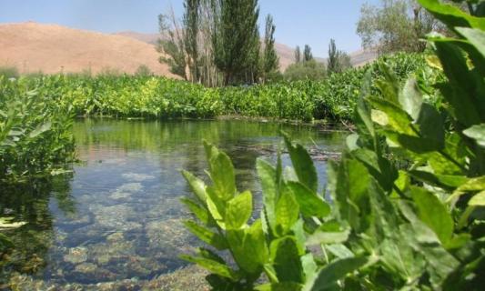 رفع تشنگی آینده از چشمه جوشان جوانی به آبراه برای جاری شدن نیاز دارد