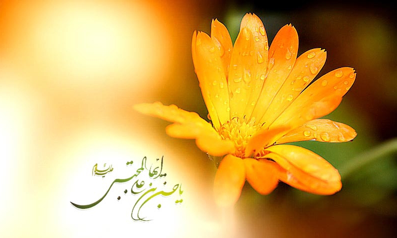 امام حسن مجتبی(ع) برای حفظ اساس اسلام صلح را پذیرفتند