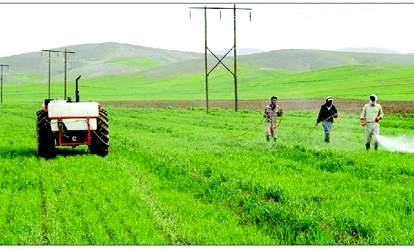 آبیاری قطره ای کاربردی ترین روش برای استفاده بهینه از ذخایر آبی است