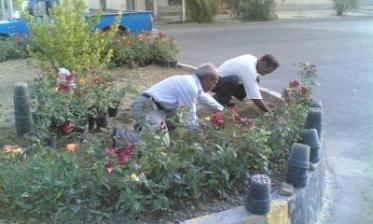 20 هزار مترمربع از میادین غرب تهران گلکاری می شود