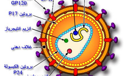 افزایش آمار ایدز در اسرائیل