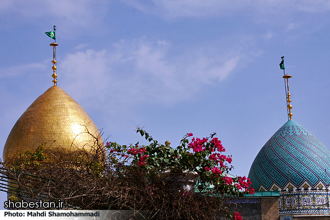 جشن میلاد حضرت عبدالعظیم الحسنی (ع) در حرم مطهر حضرتش برگزار شد