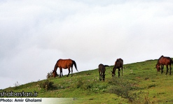 احداث دهکده طبیعت در قزوین