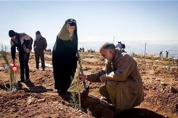 کاشت 9800 اصله نهال در بوستان شهدای کرمانشاه