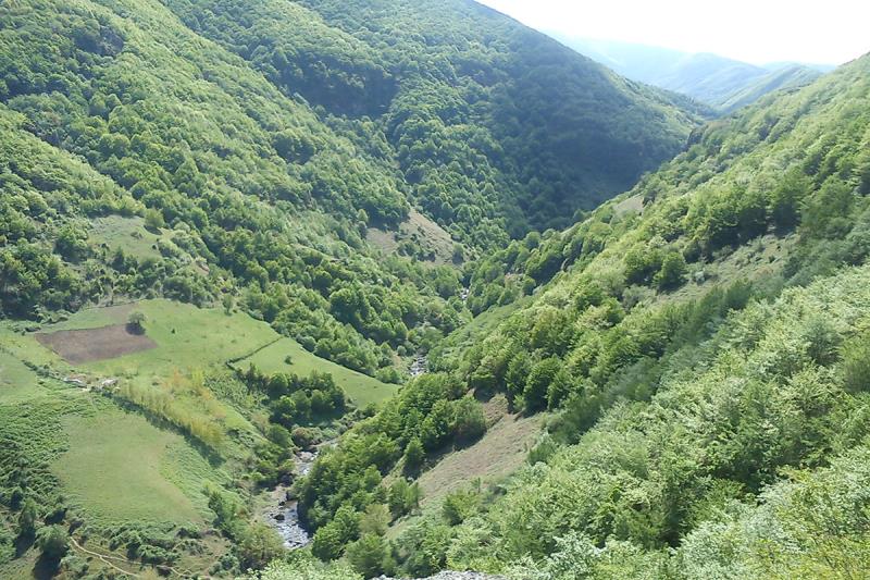 800 هکتار جنگلکاری در جنگل وطنا گلستان انجام شد