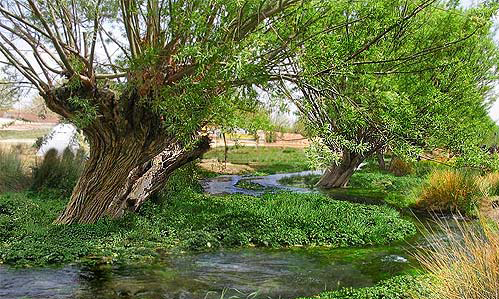 چشمه غربالبیز نگینی در دل کویر/ عدم ساماندهی قابل توجیه نیست