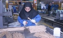 ایجاد بیش از 11 هزار شغل طی 7 ماه گذشته در همدان