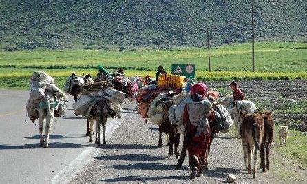 صدور 8هزار و 500 کارت تردد مرزی برای روستاییان کردستانی