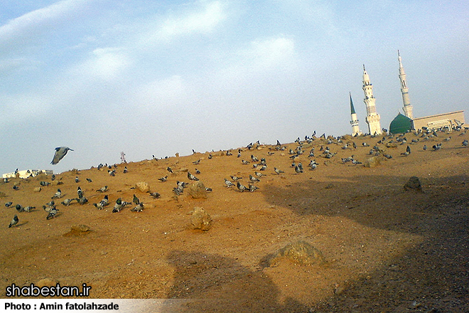 سرنوشت جعده قاتل امام حسن مجتبی(ع)