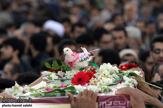 زندگی شهید خلبان زارع زاده  انیمیشن می شود