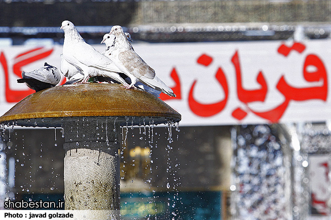 برپایی باشکوه نماز عید قربان همزمان با سراسر کشور در تبریز