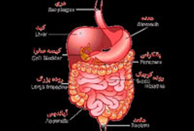 تغذیه سالم، مهمترین عامل سلامتی انسان است