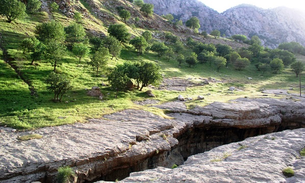 آغاز عملیات نهال کاری در سطح 10 هزار هکتار از اراضی ملی ایلام