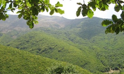 توزیع بسته های آموزشی در راستای حفاظت از منابع طبیعی