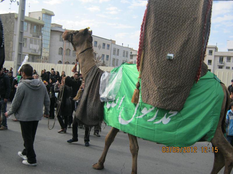 طنین عزاداری عاشورایی مردم البرز به آسمان برخاست