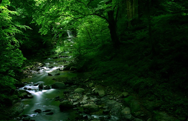 آبشار لونک آبنمای طبیعی در جنگل سیاهکل