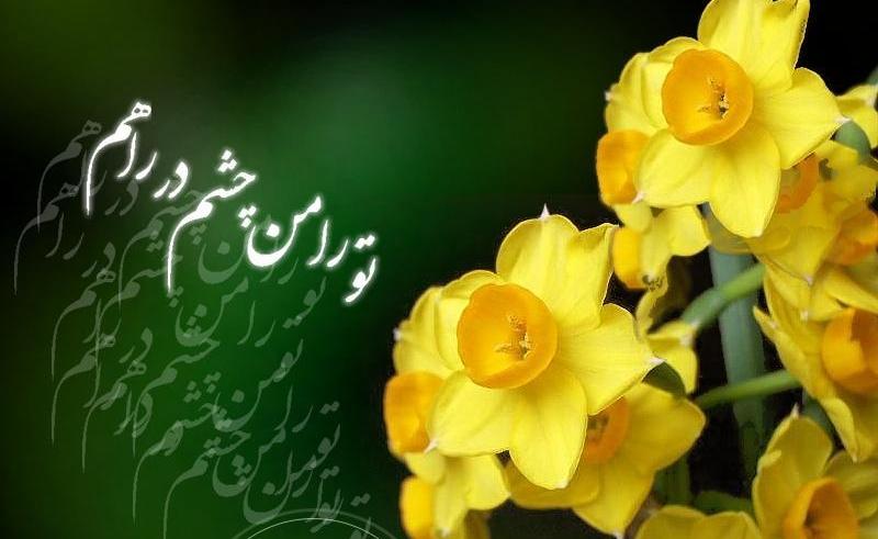 آیا امام عصر(ع) از زمان ظهور آگاه است؟