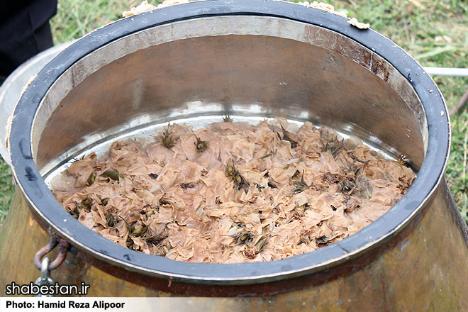 جشنواره گلاب گیری در فرهنگسرای اشراق