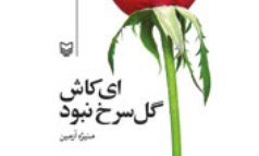 «ای کاش گل سرخ » آرمین در بوته نقد