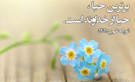 حیا محکمترین سلاح انسان در مقابله با گناه