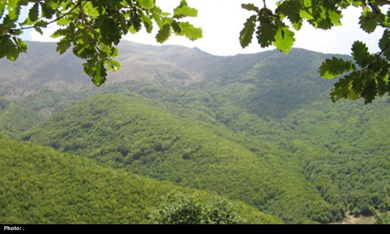 اجرای طرح حفاظت و احیای منابع طبیعی در شمال تهران