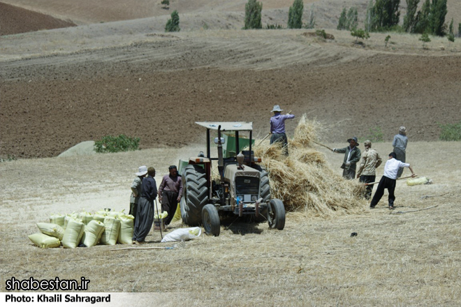 تشکیل شورای فرهنگی روستا در 8 روستای خراسان شمالی